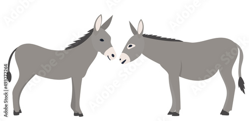 Fényképezés donkey gray flat design, isolated, vector