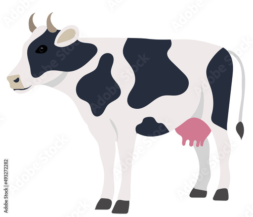 cow flat design, isolated, vector