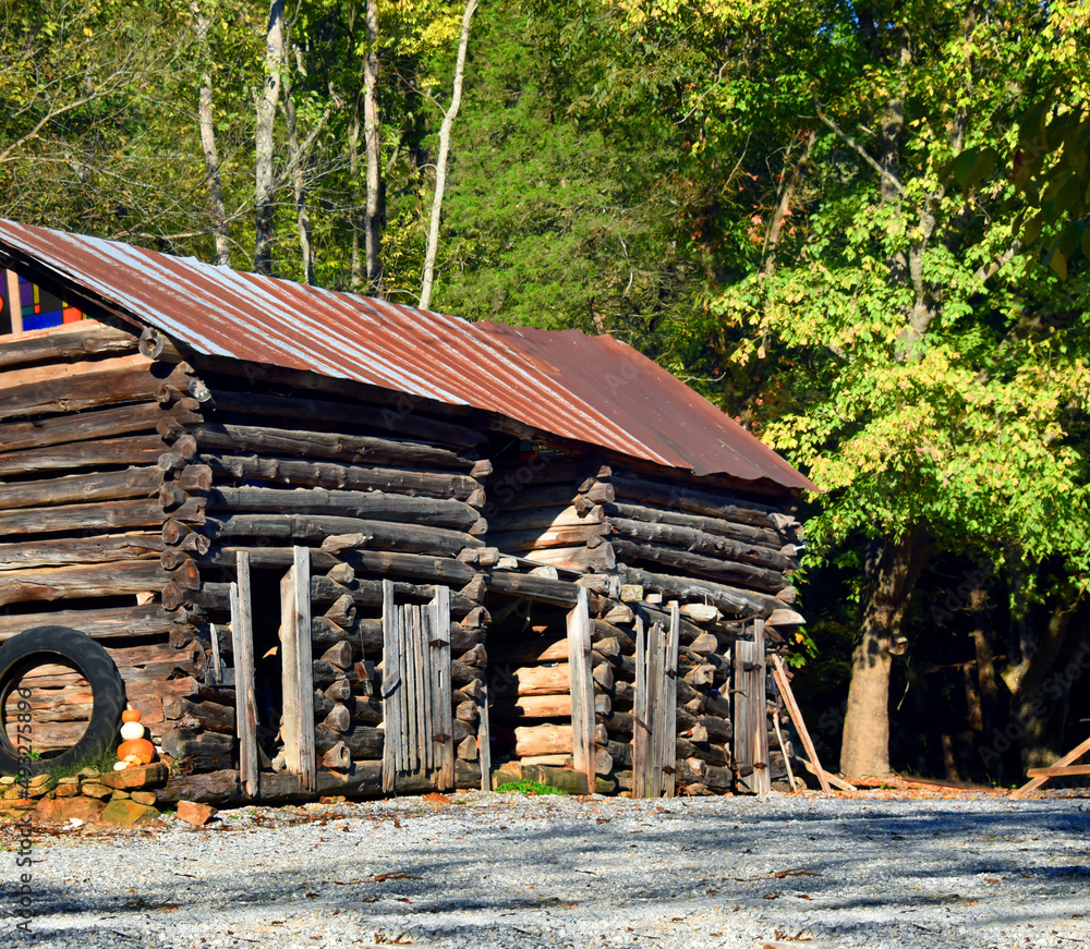 Arkansas Log Cabin Still Standing