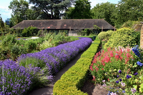 Community Garden in Park Hill, Croydon, UK. photo
