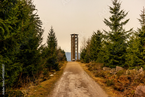 Erkundungstour durch den wunderschönen Schwarzwald bei Oppenau - Baden-Württemberg- Deutschland photo