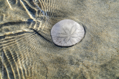 stone on the sand