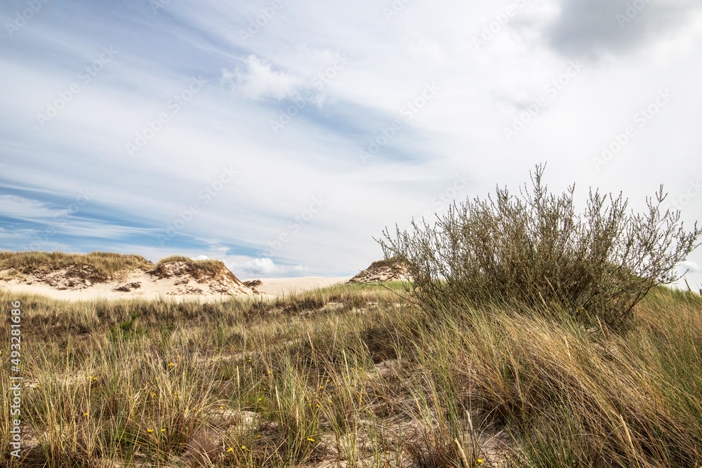 Moving dunes in Slowinski National Park, Poland Moving dunes in Slowinski National Park, Poland
