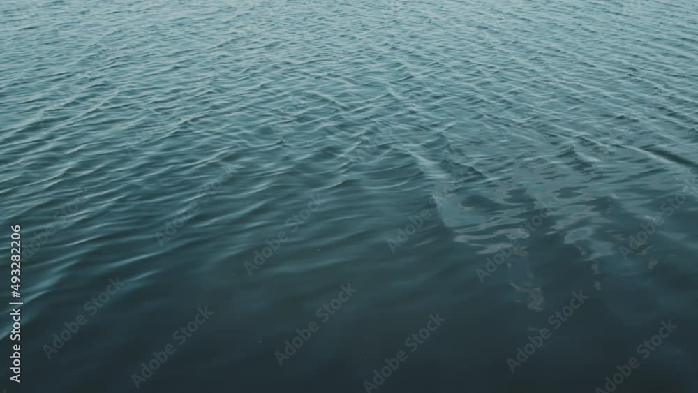 View of blue water surface of lake with small ripple on sunny summer day View of blue water surface of lake with small ripple on sunny summer day