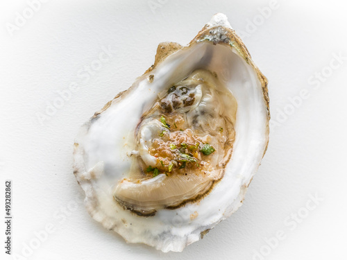 Oyster Closeup on White Background