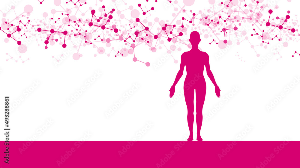 sistema immunitario, corpo umano, silhouette,
sistema immunitario, corpo umano, silhouette,