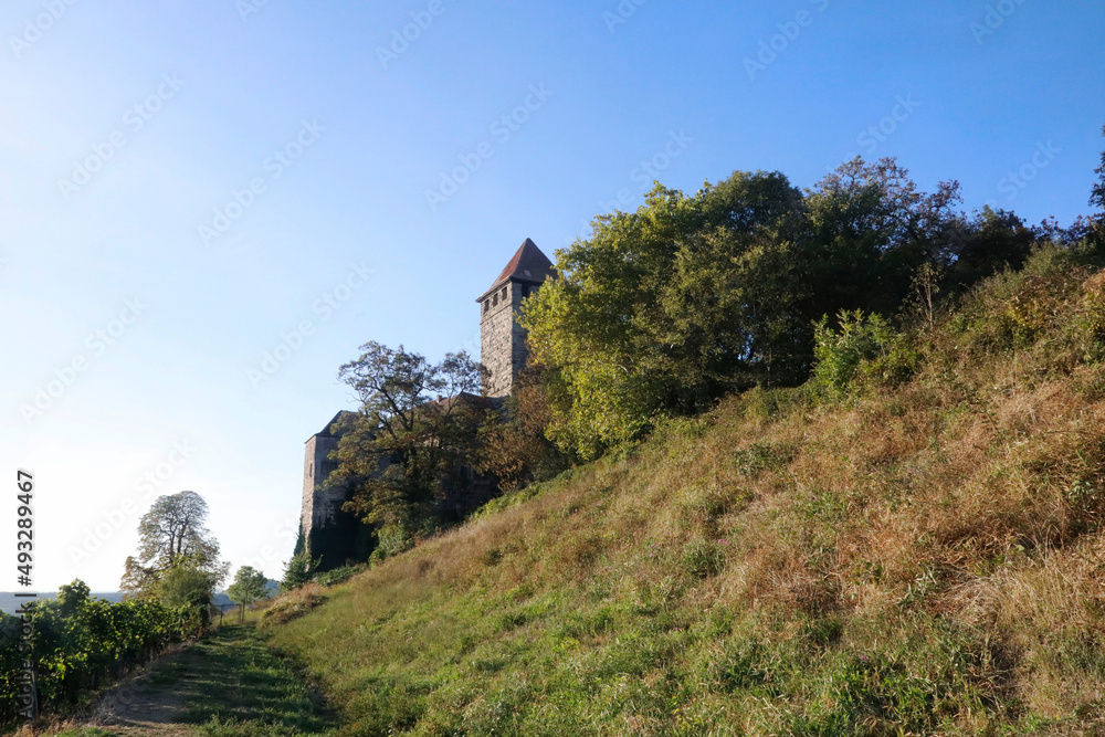 The Castle Lichtenberg in Oberstenfeld, Baden-Württemberg, Germany, Europe.