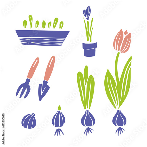 Spring tulip set with flowers, sprouts, tulip bulb, pots. Vector garden silhouette illustration isolated on white background for poster, flyer design.