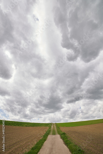 Dramatische Wolken   ber Feldern mit aufkeimendem Mais
