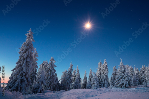 Fototapeta Naklejka Na Ścianę i Meble -  A frosty winter morning in Beskid Żywiecki. Views of the Tatra Mountains and Mala Fatra.