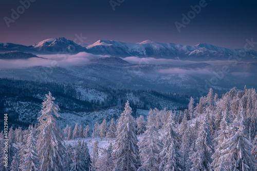 Fototapeta Naklejka Na Ścianę i Meble -  A frosty winter morning in Beskid Żywiecki. Views of the Tatra Mountains and Mala Fatra.