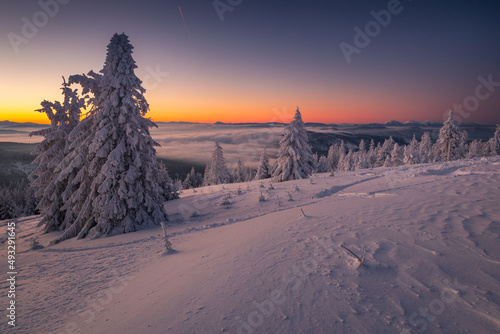 Fototapeta Naklejka Na Ścianę i Meble -  A frosty winter morning in Beskid Żywiecki. Views of the Tatra Mountains and Mala Fatra.