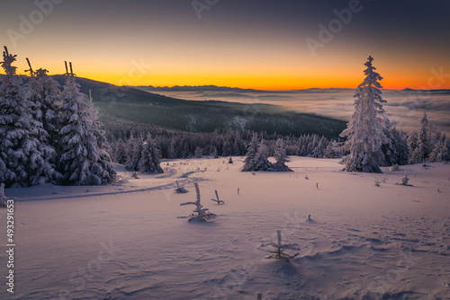 Fototapeta Naklejka Na Ścianę i Meble -  A frosty winter morning in Beskid Żywiecki. Views of the Tatra Mountains and Mala Fatra.