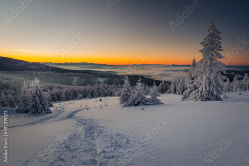 A frosty winter morning in Beskid Żywiecki. Views of the Tatra Mountains and Mala Fatra.