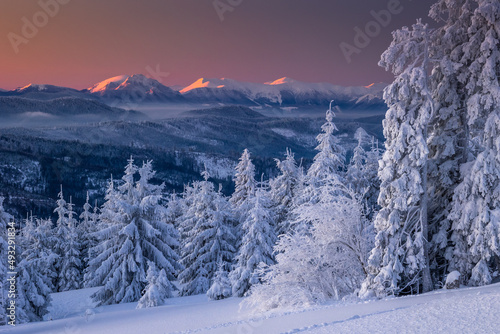A frosty winter morning in Beskid Żywiecki. Views of the Tatra Mountains and Mala Fatra. © PawelUchorczak