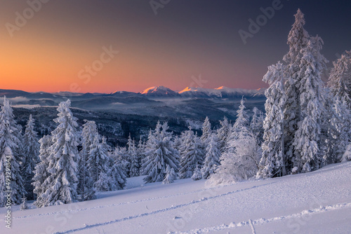 Fototapeta Naklejka Na Ścianę i Meble -  A frosty winter morning in Beskid Żywiecki. Views of the Tatra Mountains and Mala Fatra.