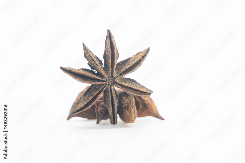 star anise seed with nut isolated on white background, front view star anise seed with nut isolated on white background, front view