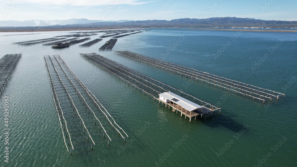 Obraz premium mejilloneras del delta del ebro
