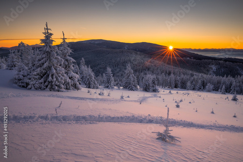 Fototapeta Naklejka Na Ścianę i Meble -  A frosty winter morning in Beskid Żywiecki. Views of the Tatra Mountains and Mala Fatra.