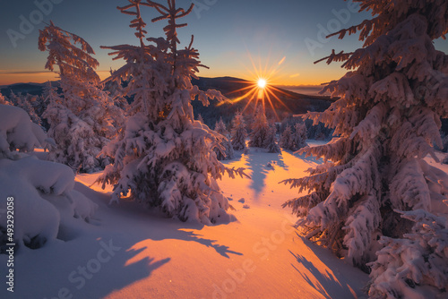 Fototapeta Naklejka Na Ścianę i Meble -  A frosty winter morning in Beskid Żywiecki. Views of the Tatra Mountains and Mala Fatra.
