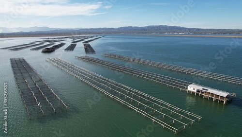 mejilloneras del delta del ebro