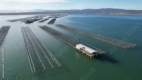 mejilloneras del delta del ebro