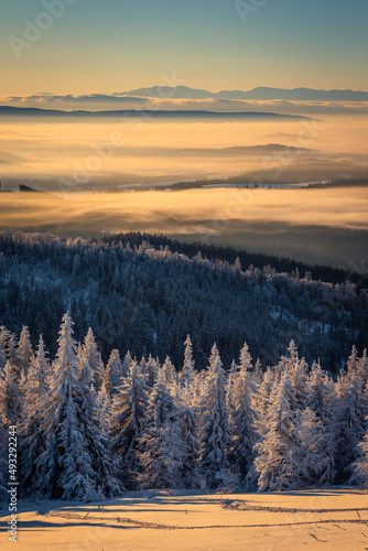 Fototapeta Naklejka Na Ścianę i Meble -  A frosty winter morning in Beskid Żywiecki. Views of the Tatra Mountains and Mala Fatra.