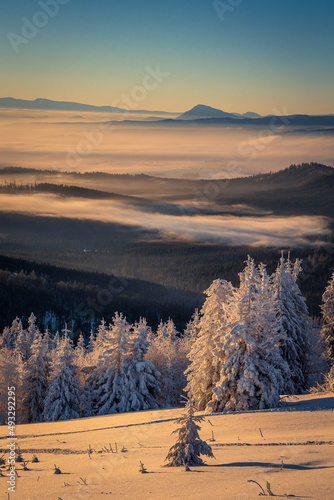 Fototapeta Naklejka Na Ścianę i Meble -  A frosty winter morning in Beskid Żywiecki. Views of the Tatra Mountains and Mala Fatra.