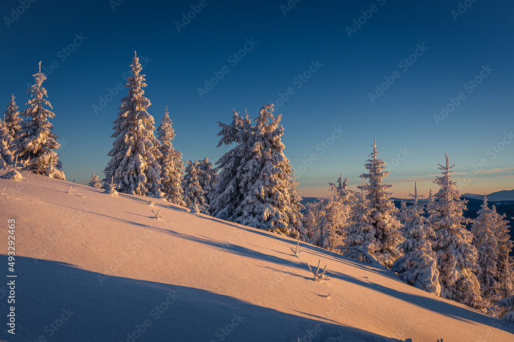 A frosty winter morning in Beskid Żywiecki. Views of the Tatra Mountains and Mala Fatra.