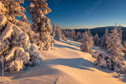 Fototapeta Naklejka Na Ścianę i Meble -  A frosty winter morning in Beskid Żywiecki. Views of the Tatra Mountains and Mala Fatra.