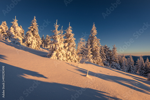 Fototapeta Naklejka Na Ścianę i Meble -  A frosty winter morning in Beskid Żywiecki. Views of the Tatra Mountains and Mala Fatra.