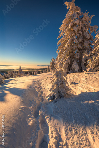 Fototapeta Naklejka Na Ścianę i Meble -  A frosty winter morning in Beskid Żywiecki. Views of the Tatra Mountains and Mala Fatra.