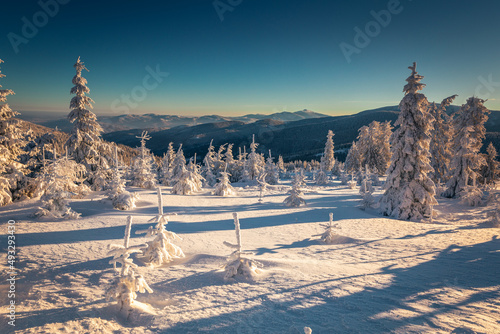 Fototapeta Naklejka Na Ścianę i Meble -  A frosty winter morning in Beskid Żywiecki. Views of the Tatra Mountains and Mala Fatra.