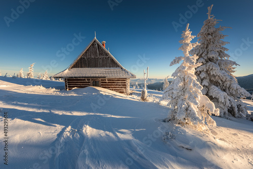 Fototapeta Naklejka Na Ścianę i Meble -  Shelter on Rysianka before sunrise. An atmospheric winter morning.