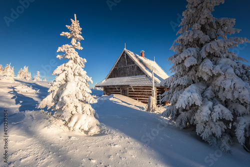 Fototapeta Naklejka Na Ścianę i Meble -  Shelter on Rysianka before sunrise. An atmospheric winter morning.