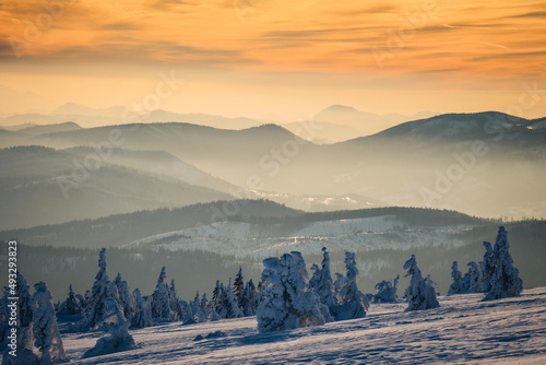 Fototapeta Naklejka Na Ścianę i Meble -  Winter sunset seen from Pilsko in Beskid Żywiecki. Beautiful views of the Tatras and the Mala Fatra massif, bathed in golden light.