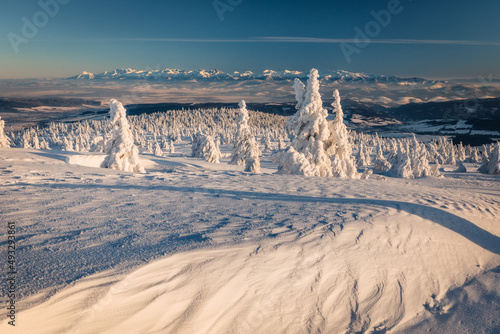 Fototapeta Naklejka Na Ścianę i Meble -  Winter sunset seen from Pilsko in Beskid Żywiecki. Beautiful views of the Tatras and the Mala Fatra massif, bathed in golden light.