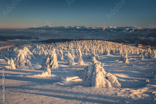 Fototapeta Naklejka Na Ścianę i Meble -  Winter sunset seen from Pilsko in Beskid Żywiecki. Beautiful views of the Tatras and the Mala Fatra massif, bathed in golden light.