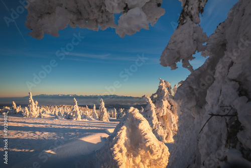 Fototapeta Naklejka Na Ścianę i Meble -  Winter sunset seen from Pilsko in Beskid Żywiecki. Beautiful views of the Tatras and the Mala Fatra massif, bathed in golden light.