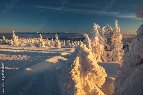 Fototapeta Naklejka Na Ścianę i Meble -  Winter sunset seen from Pilsko in Beskid Żywiecki. Beautiful views of the Tatras and the Mala Fatra massif, bathed in golden light.
