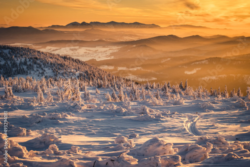 Fototapeta Naklejka Na Ścianę i Meble -  Winter sunset seen from Pilsko in Beskid Żywiecki. Beautiful views of the Tatras and the Mala Fatra massif, bathed in golden light.