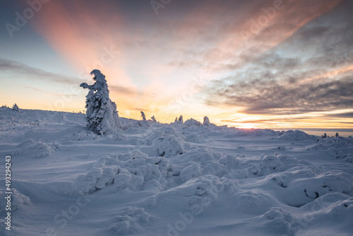 Fototapeta Naklejka Na Ścianę i Meble -  Winter sunset seen from Pilsko in Beskid Żywiecki. Beautiful views of the Tatras and the Mala Fatra massif, bathed in golden light.