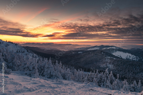 Fototapeta Naklejka Na Ścianę i Meble -  Winter sunset seen from Pilsko in Beskid Żywiecki. Beautiful views of the Tatras and the Mala Fatra massif, bathed in golden light.