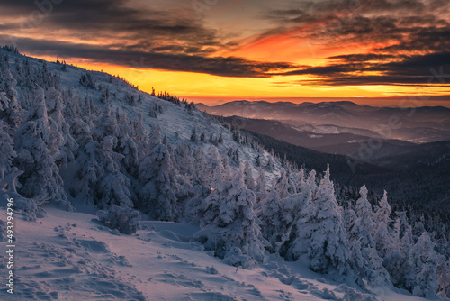Fototapeta Naklejka Na Ścianę i Meble -  Winter sunset seen from Pilsko in Beskid Żywiecki. Beautiful views of the Tatras and the Mala Fatra massif, bathed in golden light.