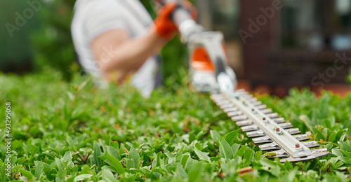 Close up of strong man shaping overgrown bushes with electric hedge trimmer during summer time. Gardening and landscaping process. 