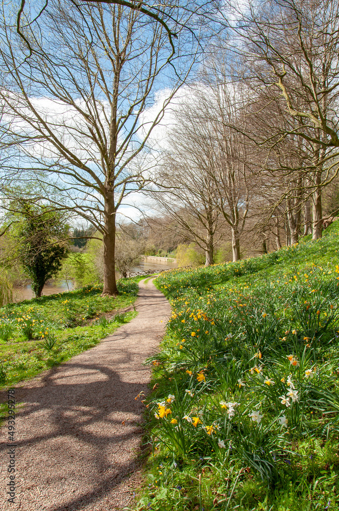 Obraz premium footpath in the park