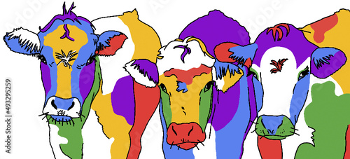 Drei bunte Kuh Portraits als isolierte Vektor Illustration. Sehr bunte, leuchtende Farben.