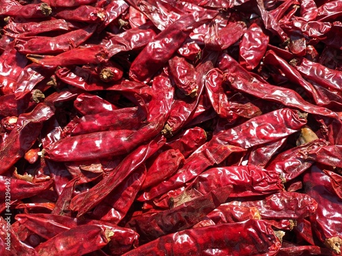 Red chilli drying in sunlight, spicy red chillies, kashmiri chilli,