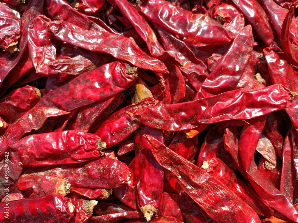 Red chilli drying in sunlight for making powder Red chilli drying in sunlight for making powder