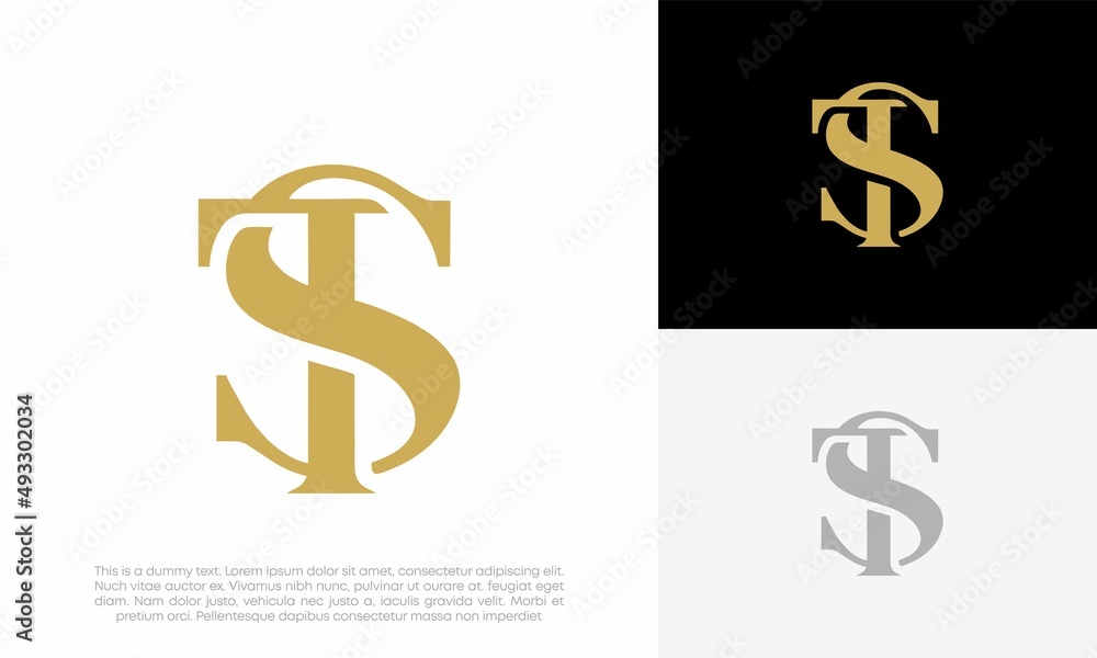 Letter TS / ST logo initial abstract vector icon design illustration Letter TS / ST logo initial abstract vector icon design illustration